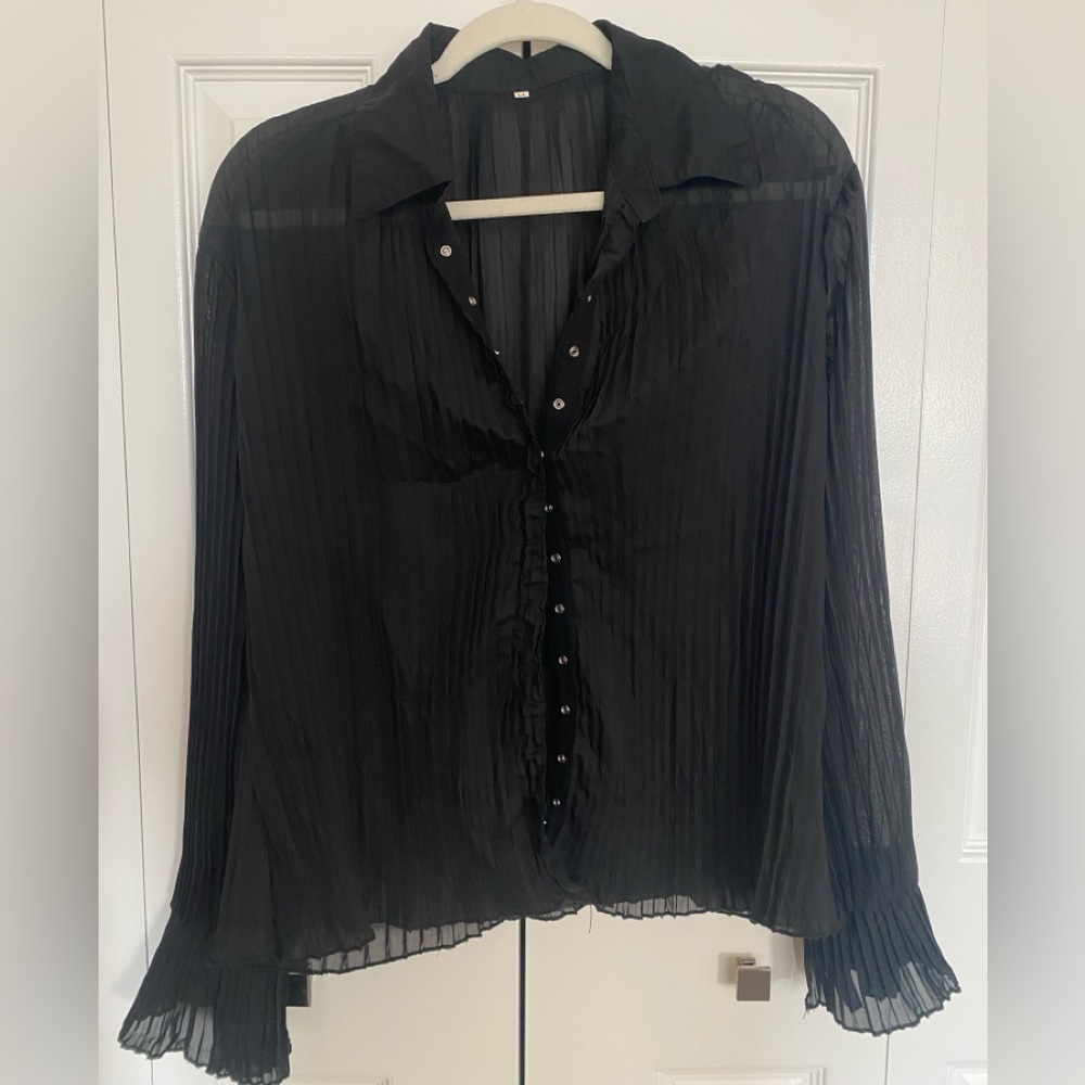 Sheer Black Pleated Blouse — unknown brand